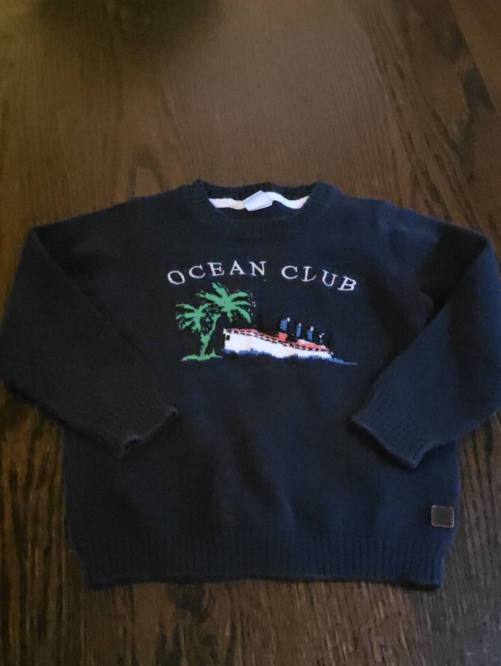 Janie and Jack Navy Sweater with Tropical Embroidery